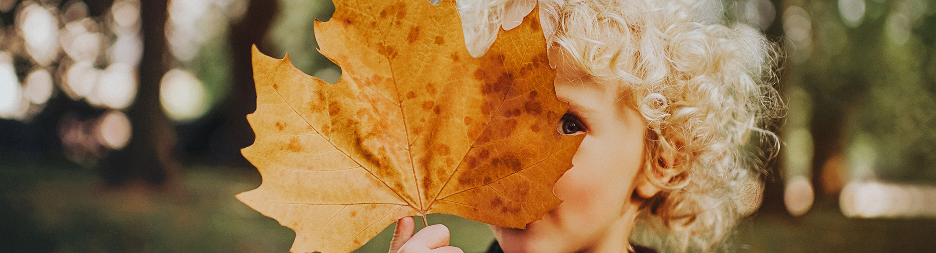 child holding autumn leaf